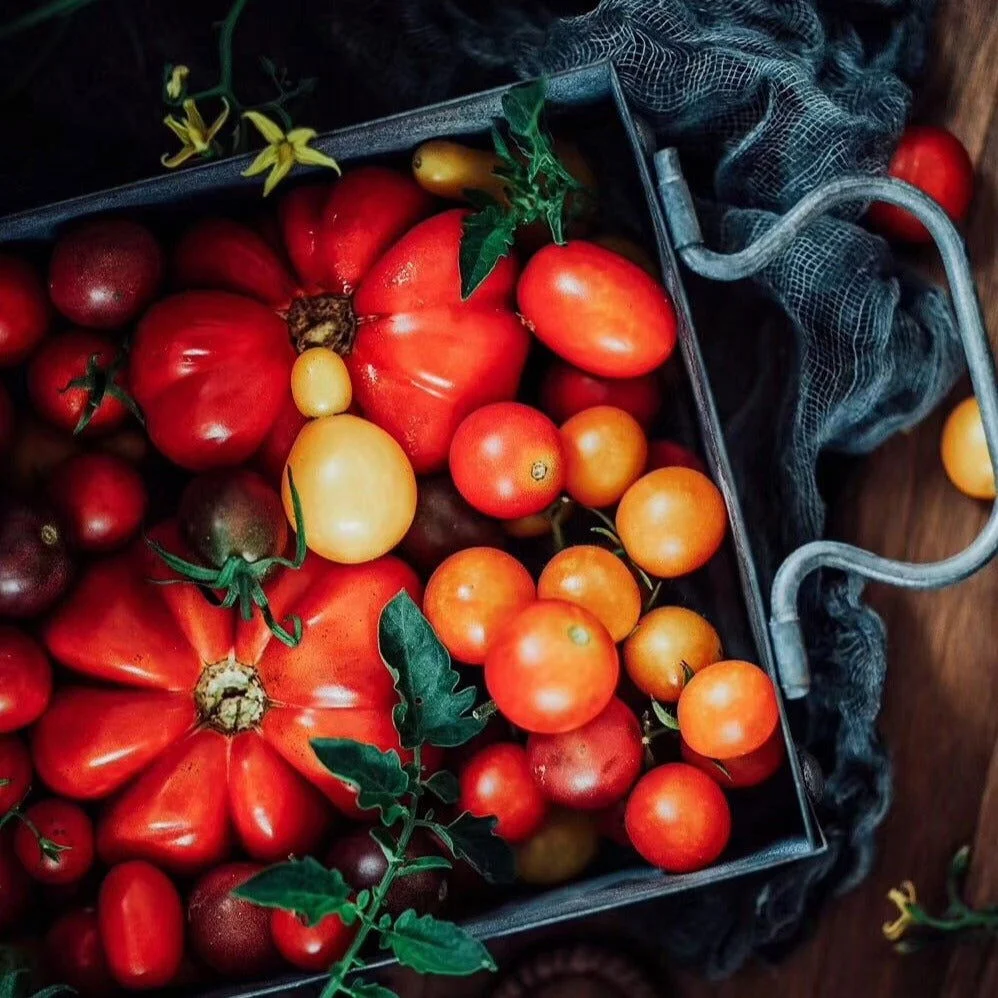 FRENCH COUNTRY ANTIQUE SERVING TRAY -  - #tag1#