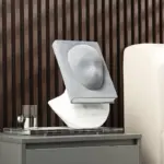 Face Book Bust Sculpture