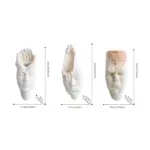 Face Expression Wall Hanging Flower Pot