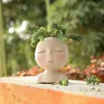 Face Flower Hair Planter Pot