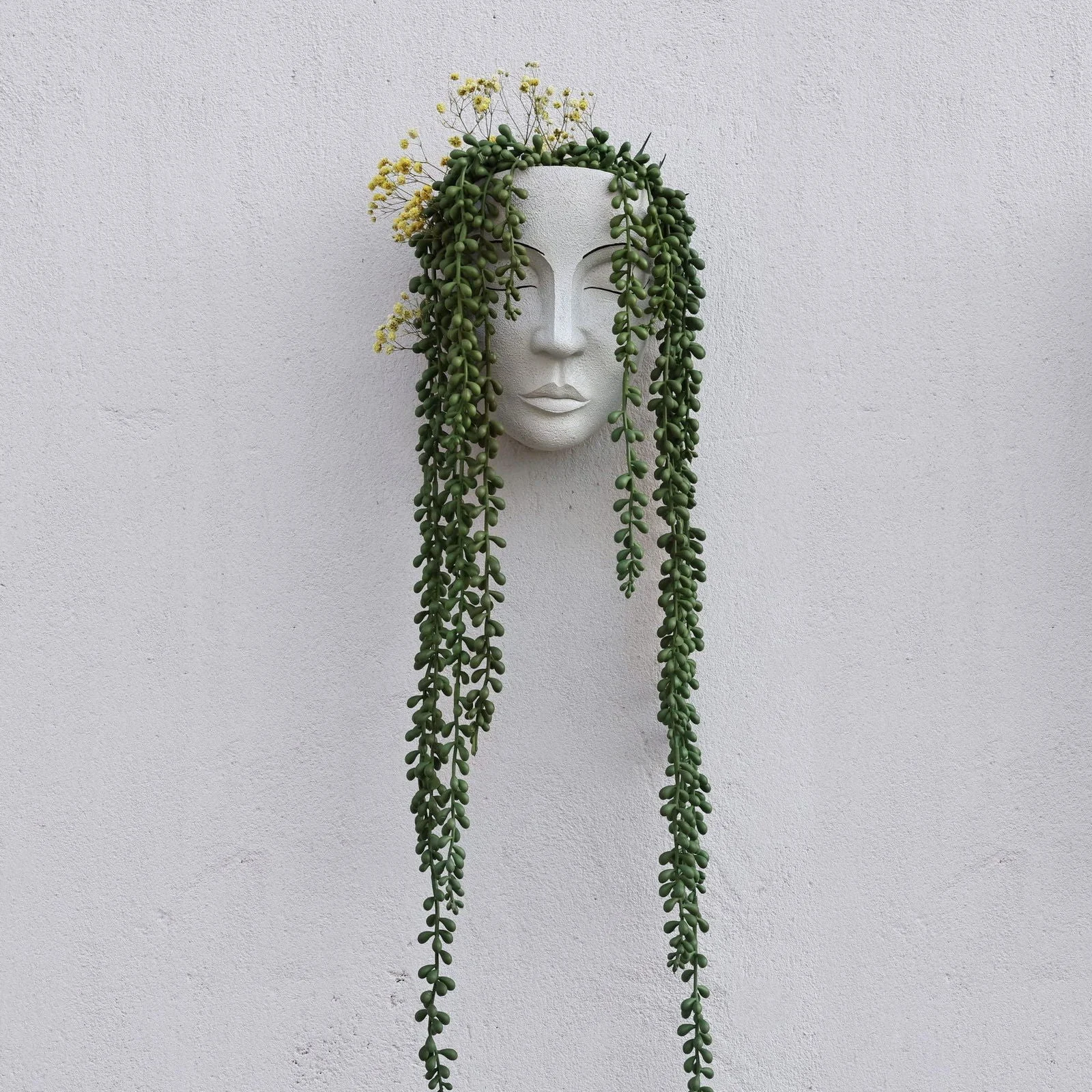 Face Wall Planter -