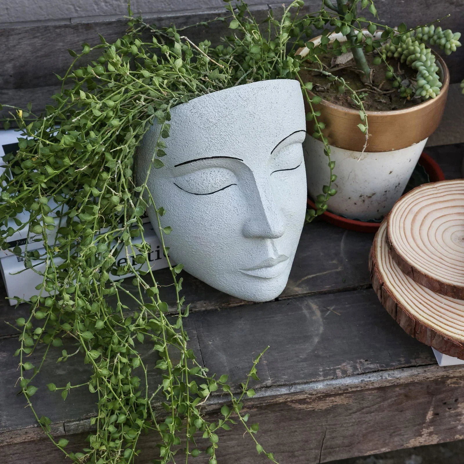 Face Wall Planter -