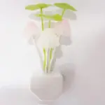 Fairytale Mushroom Night Light tag1