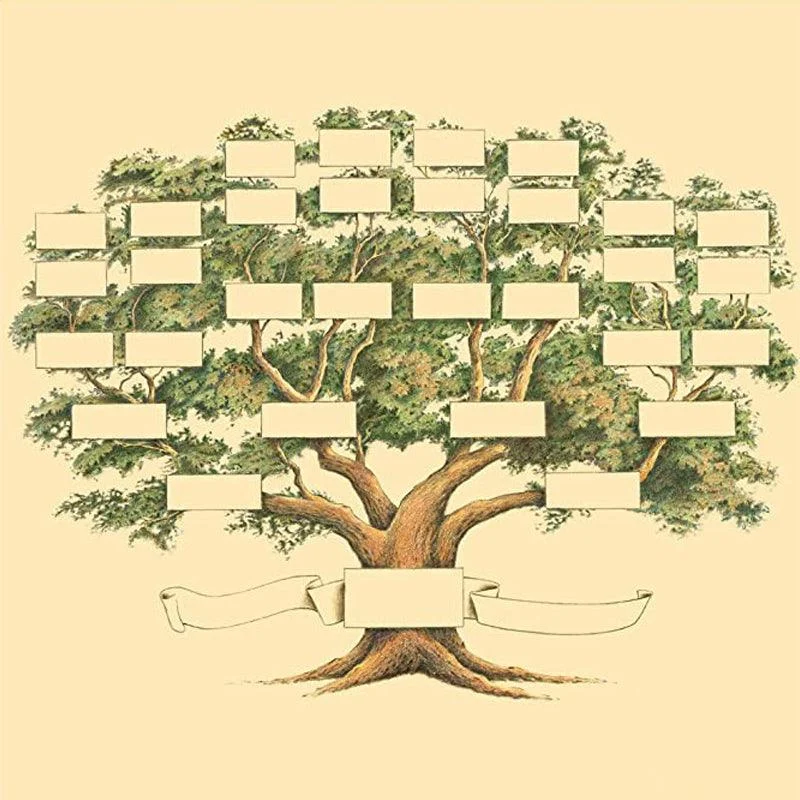 Family Tree Genealogy Diagram -  - #tag1#