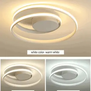 FancyWhirl Ceiling Light - Acrylic Mounting Spiral Ring -  - #tag1#