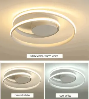 FancyWhirl Ceiling Light - Acrylic Mounting Spiral Ring