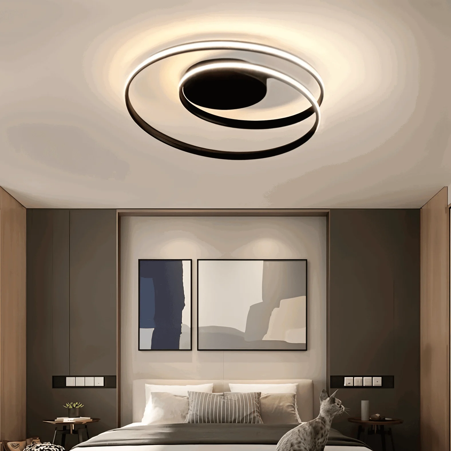 FancyWhirl Ceiling Light - Acrylic Mounting Spiral Ring -  - #tag1#