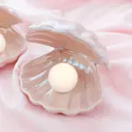 Fantasy Ceramic Shell Pearl Lamp Bedroom Decor Night Light Novelty Lighting Fairy Shell for Girl Home Decoration Bedside Lamp tag1