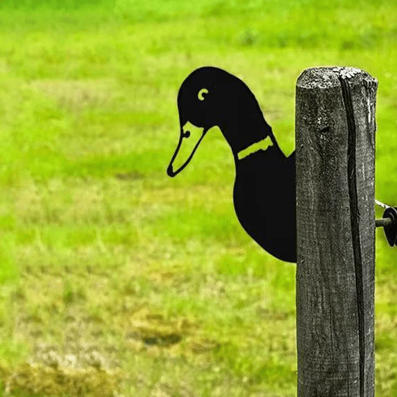 Farm Decoration - PeepFarm - Realistic Animal Design - Garden Metal Art -  - #tag1#
