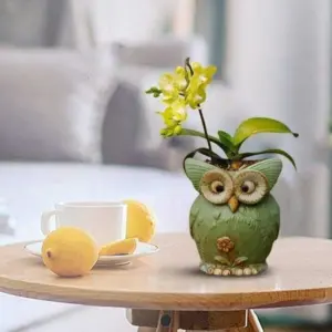 Farmhouse Ceramic Owl Plant Pot - 