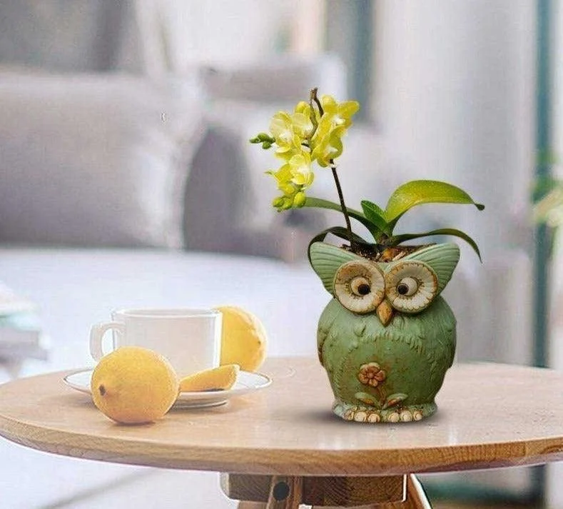 Farmhouse Ceramic Owl Plant Pot -