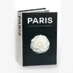 Fashion_Forward_Secret_Storage_Faux_Books_-_-_tag1_-4206152 Fashion Forward Secret Storage Faux Books tag1