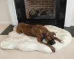Faux Fur Dog Bed tag1