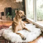 Faux Fur Dog Bed tag1
