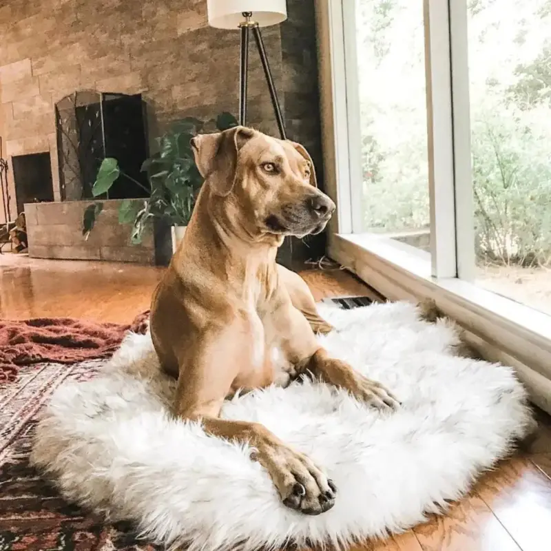 Faux Fur Dog Bed tag1