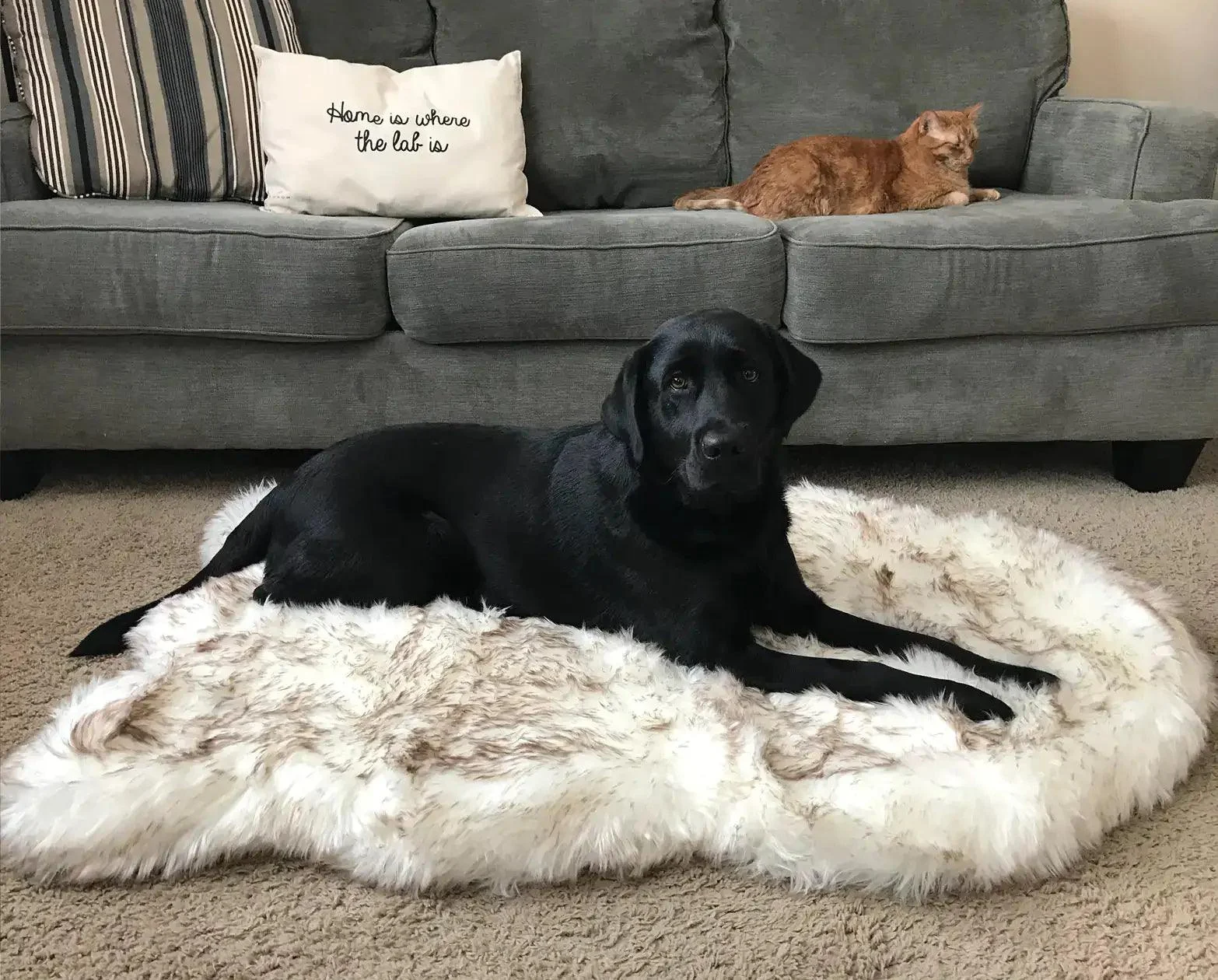 Faux Fur Dog Bed -  - #tag1#