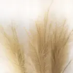 Faux Pampa Grass Decor tag1