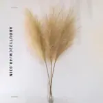Faux Pampa Grass Decor tag1