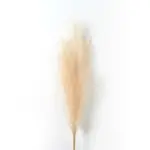 Faux Pampa Grass Decor tag1