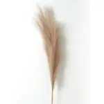 Faux Pampa Grass Decor tag1