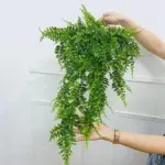 Faux Plant Vines