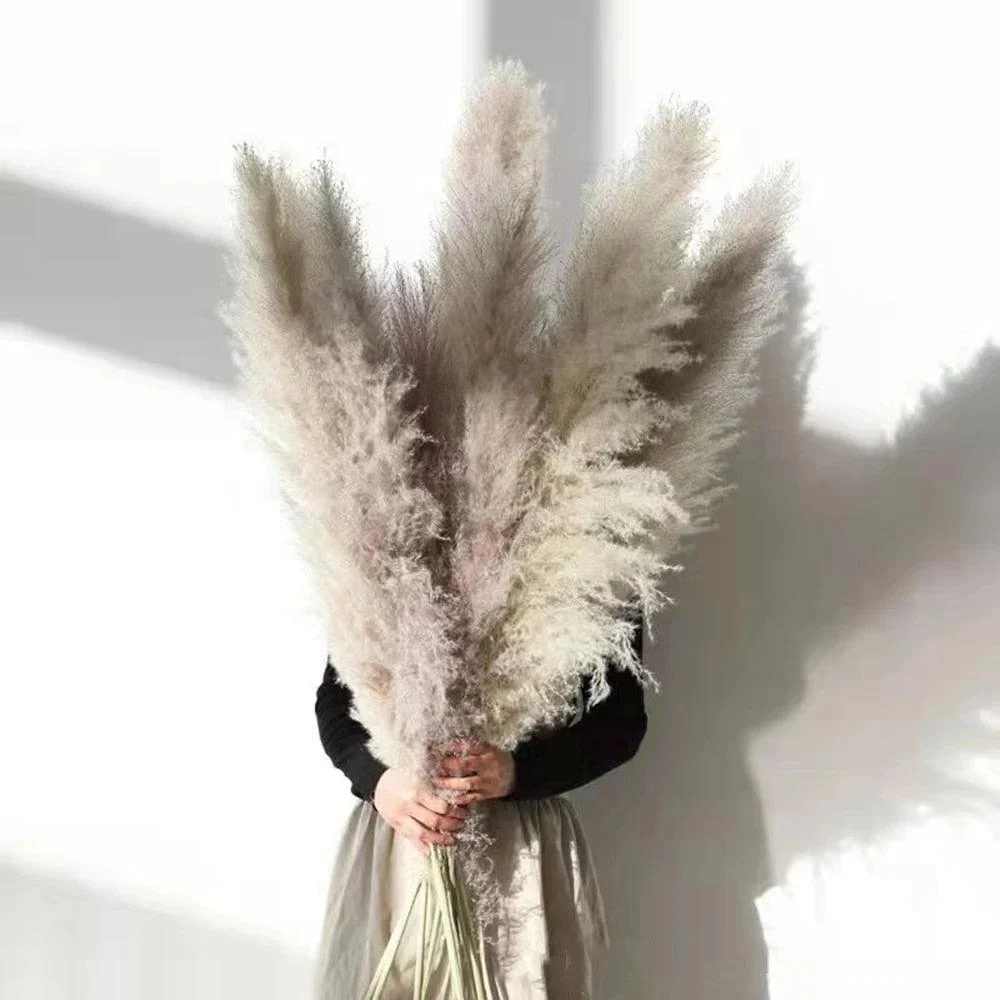 FeatherFawn - Dried Pampas Flowers -  - #tag1#