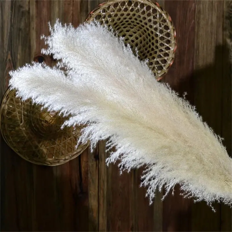 FeatherFawn Dried Pampas Flowers tag1