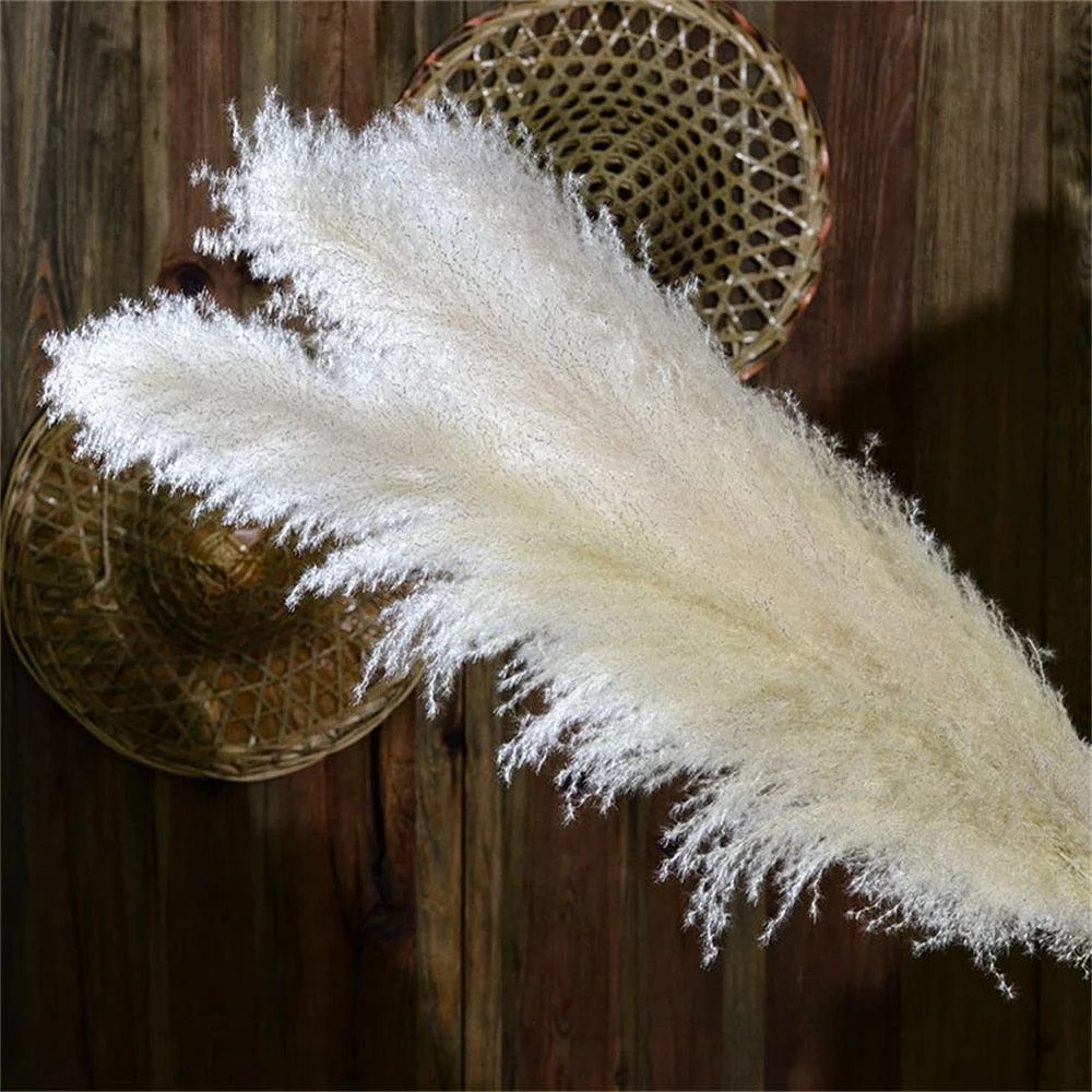 FeatherFawn - Dried Pampas Flowers - - #tag1#