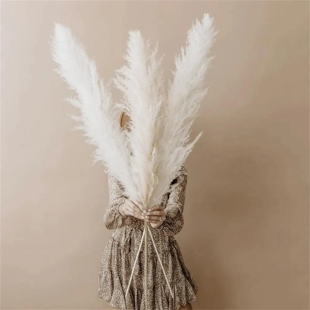 FeatherFawn - Dried Pampas Flowers -  - #tag1#