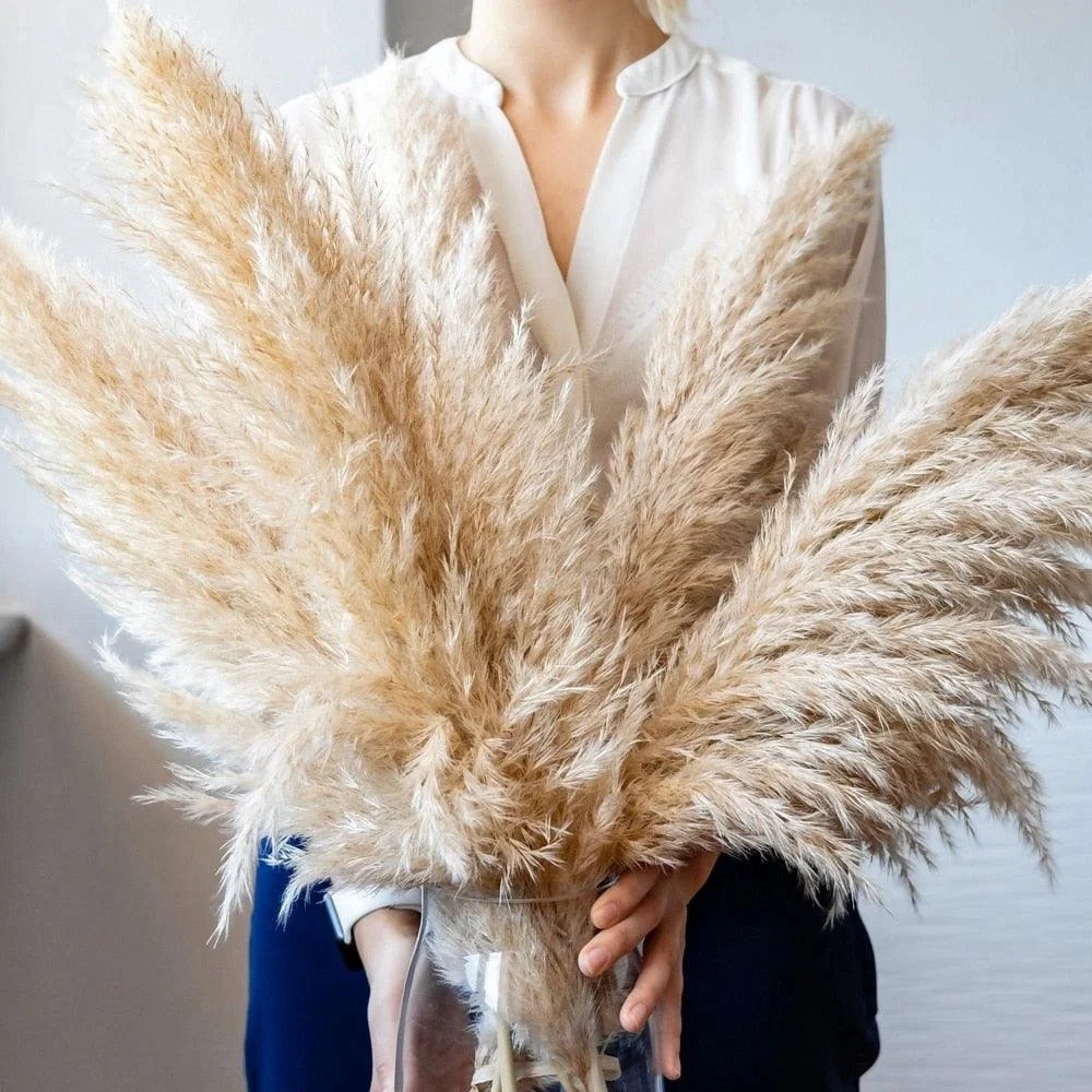 FeatherFawn - Dried Pampas Flowers -  - #tag1#