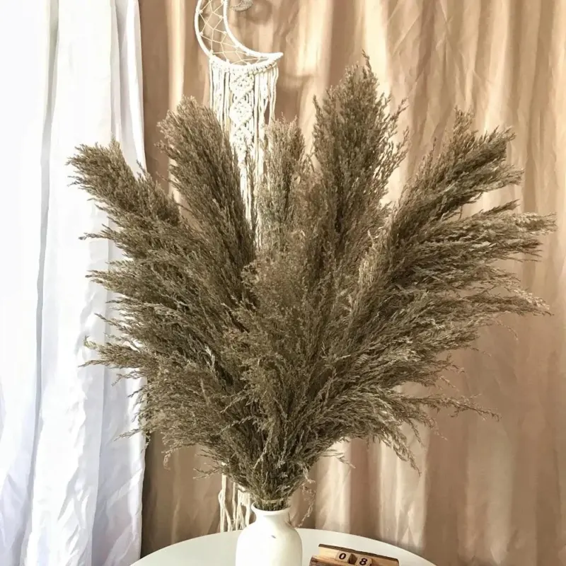 FeatherFawn Dried Pampas Flowers tag1