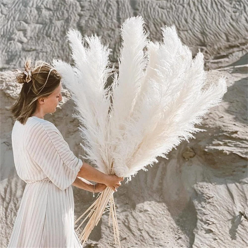 FeatherFawn - Dried Pampas Flowers -  - #tag1#