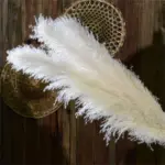 FeatherFawn Pampas Dried Flowers