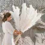 FeatherFawn Pampas Dried Flowers