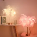 Feather Lamp