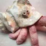 Finger Parasitic Crab Sculpture