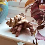Finger Parasitic Crab Sculpture