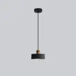 Fiorenza Creative Shapes LED Ceiling Lamps tag1