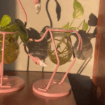 Flamingo Propagation Station
