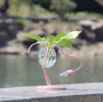 Flamingo Propagation Station