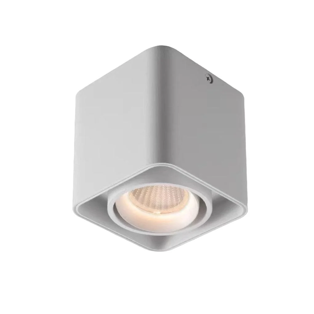 FlexiSquare - Dimmable LED Ceiling Grid Light with Adjustable Square Lamp Head -  - #tag1#