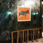 Float Wall Lamp