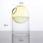 Floating Orb Terrariums