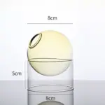 Floating Orb Terrariums