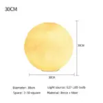 Floor Moon Lamp
