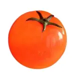 Floor lamp Tomato tag1