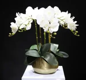 Flora Faux Orchid with Vase