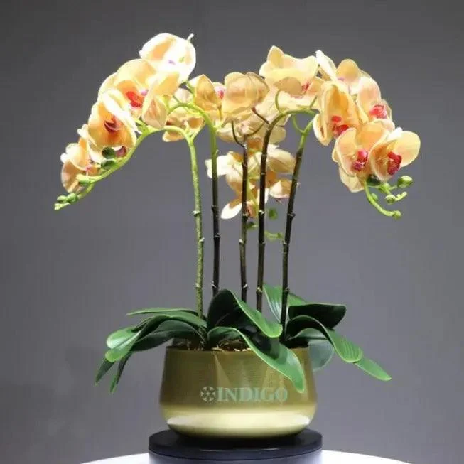 Flora Faux Orchid with Vase -