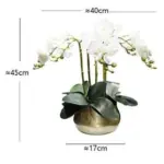 Flora Faux Orchid with Vase