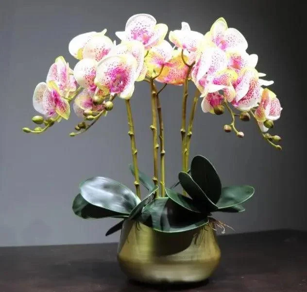 Flora Faux Orchid with Vase -